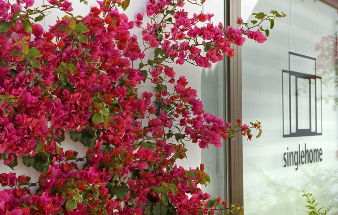 history hero single home