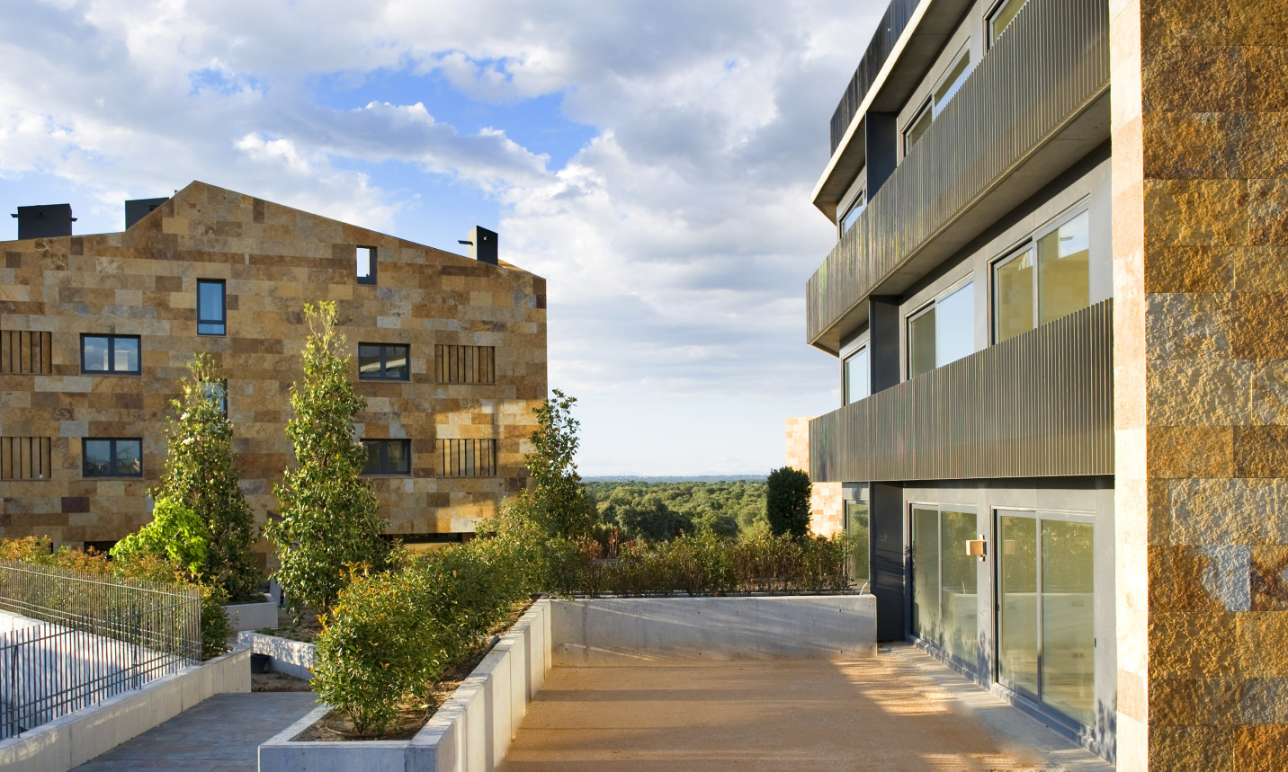pardo de aravaca vista general